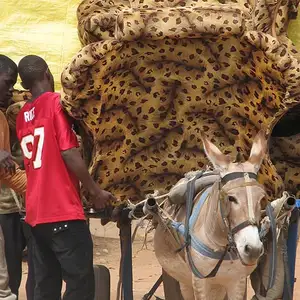 Foto Afrika reis – foto 90