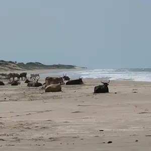 Foto Afrika reis – foto 87