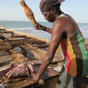 Foto Afrika reis – foto 20