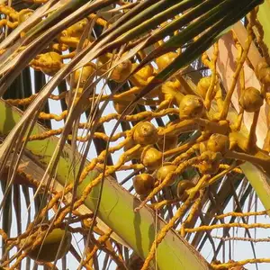 Foto Afrika reis – foto 68