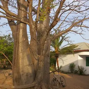 Foto Afrika reis – foto 63