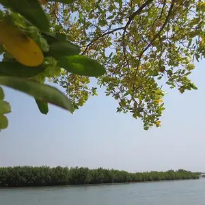 Foto Afrika reis – foto 58