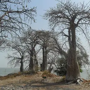 Foto Afrika reis – foto 50