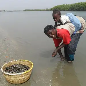 Foto Afrika reis – foto 49